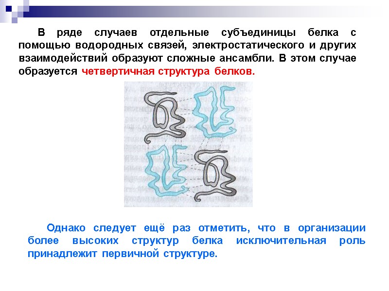 В ряде случаев отдельные субъединицы белка с помощью водородных связей, электростатического и других взаимодействий